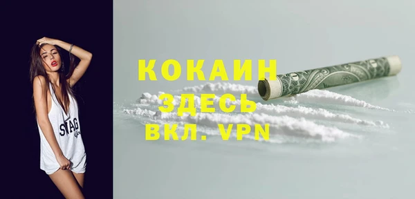 шишки Лиски